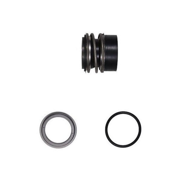 Pump Repair Parts- Shaft seal BBQE GG D38/spare.